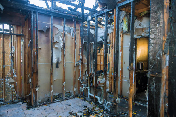 Professional Soot Cleanup technician working in Fortuna Foothills, AZ